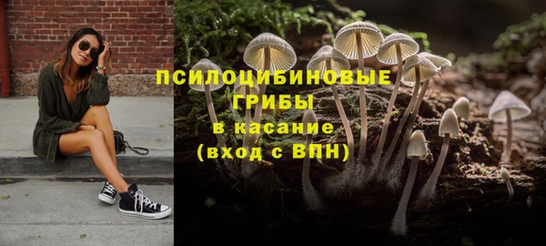 дмт Россошь