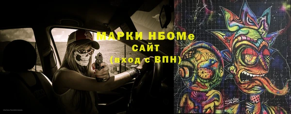 стафф Алексин