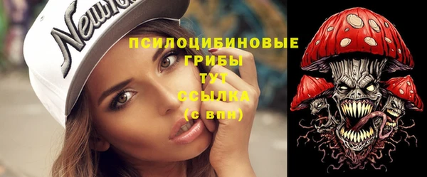 крисы Рославль