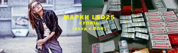 стафф Алексин